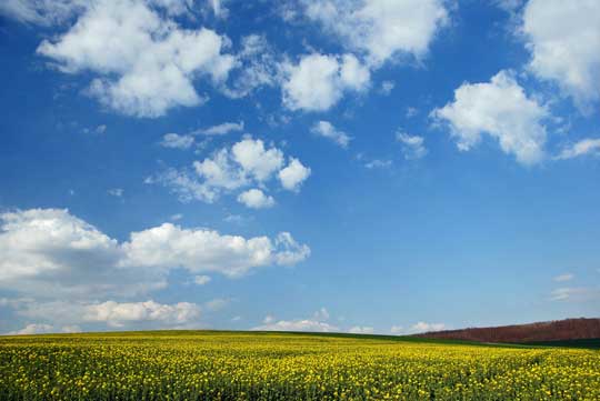 心理カウンセラー認定資格通信講座